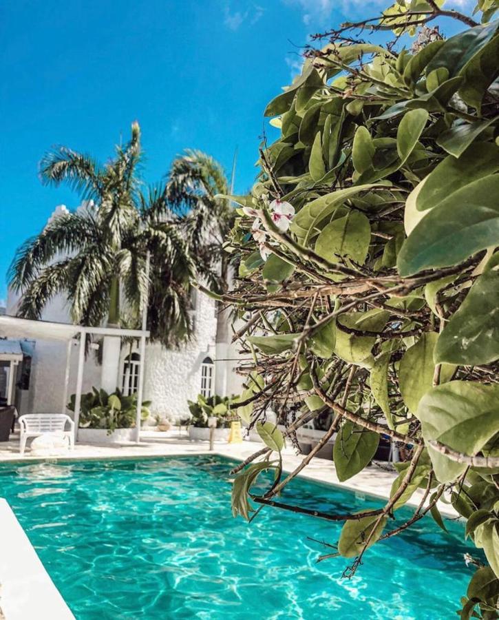 Le Castel Blanc Hotel Boutique San Andrés Exterior foto